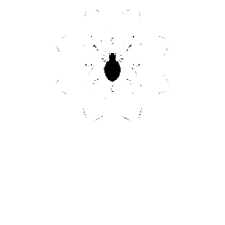 LOGO__v4Final.png
